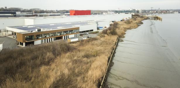 C-wood location
